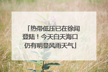 热带低压已在徐闻登陆！今天白天海口仍有明显风雨天气